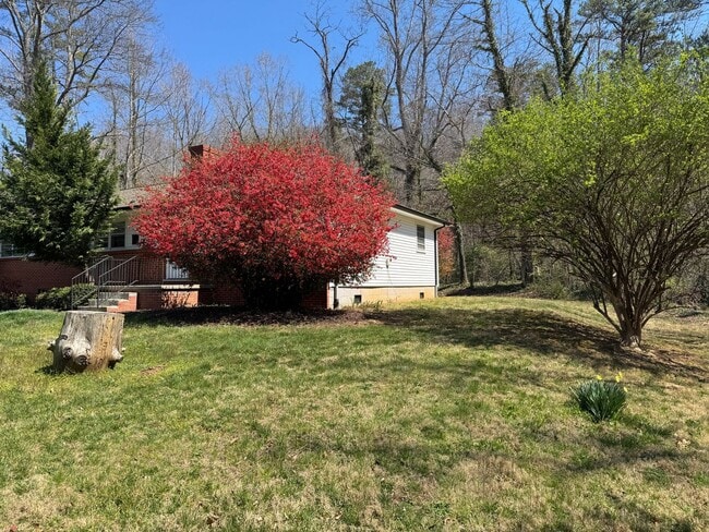 Building Photo - East AVL Spacious Apartment Ready for Occupancy!