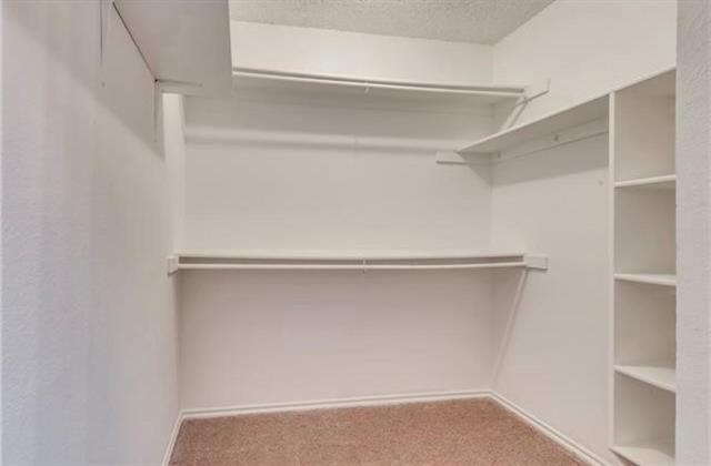 Building Photo - 2523 Sunscape Ln