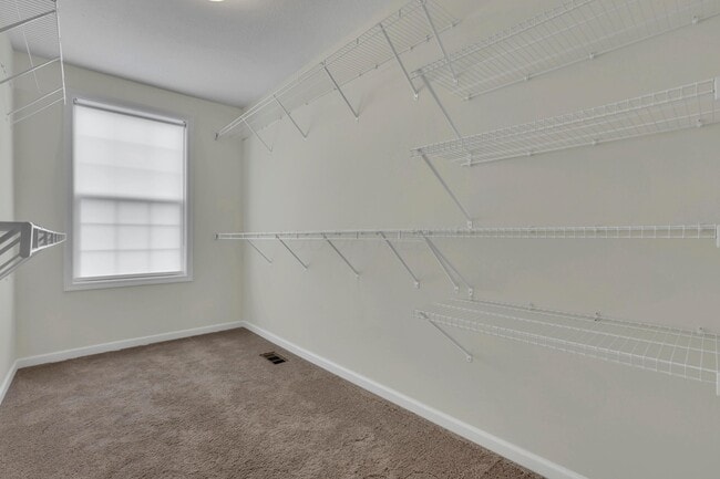 Building Photo - 241 Sunstone Ln