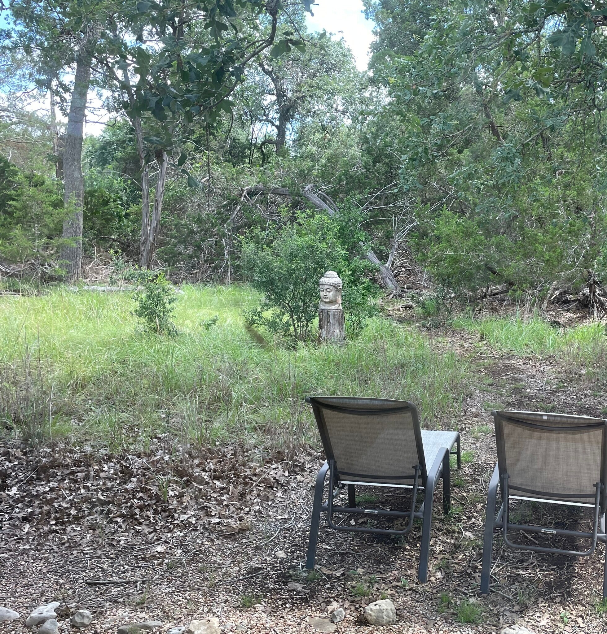 Relax as you watch the natural world - 300 Lonesome Trl