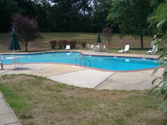 Association Pool - 211 Meadow Woods Ln