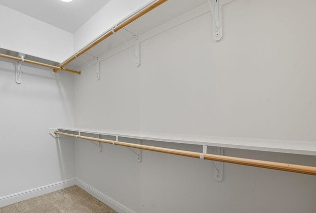 Building Photo - 3013 Forestwood Dr