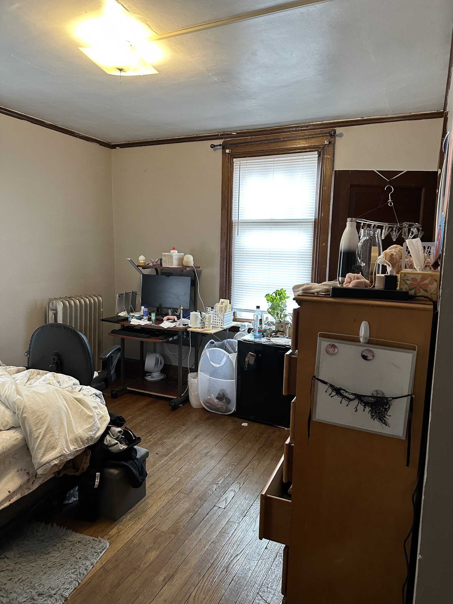 Building Photo - 105-1 Bool St