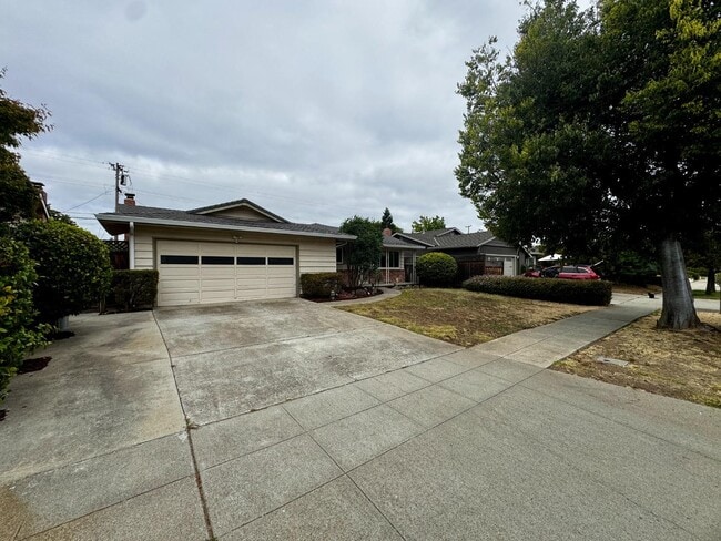 Building Photo - 1405 Antonio Ln