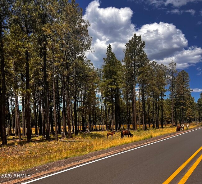 Building Photo - 3361 W Hansen