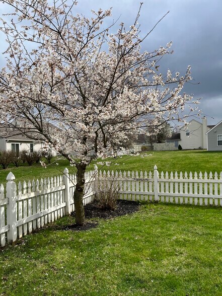 Building Photo - 9240 Crossing Dr
