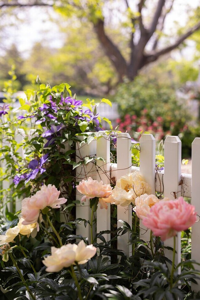 Building Photo - 2 BDR Gorgeous Updated Townhome with Huge Garden