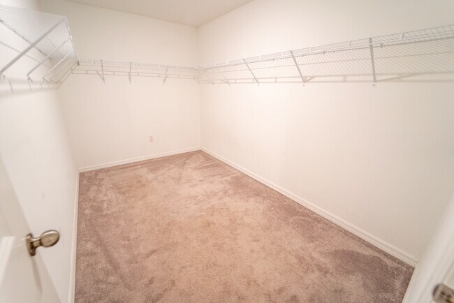 Building Photo - 1863 Moon Cactus Ct