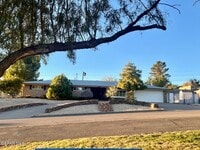 Building Photo - 3807 Okeefe Dr