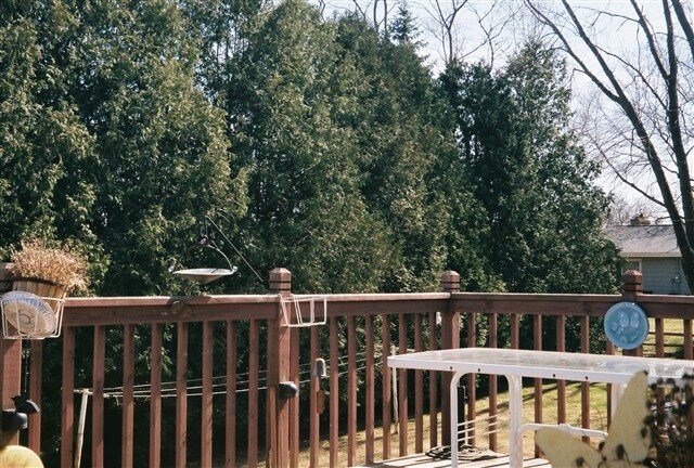 Building Photo - 301 Melody Ln