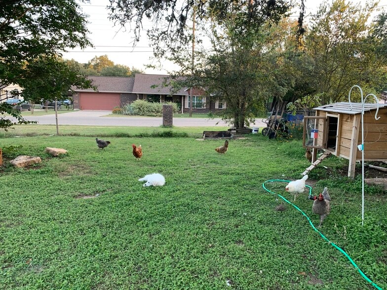 Side yard and chicken coop (chickens not included) - 18306 Center St