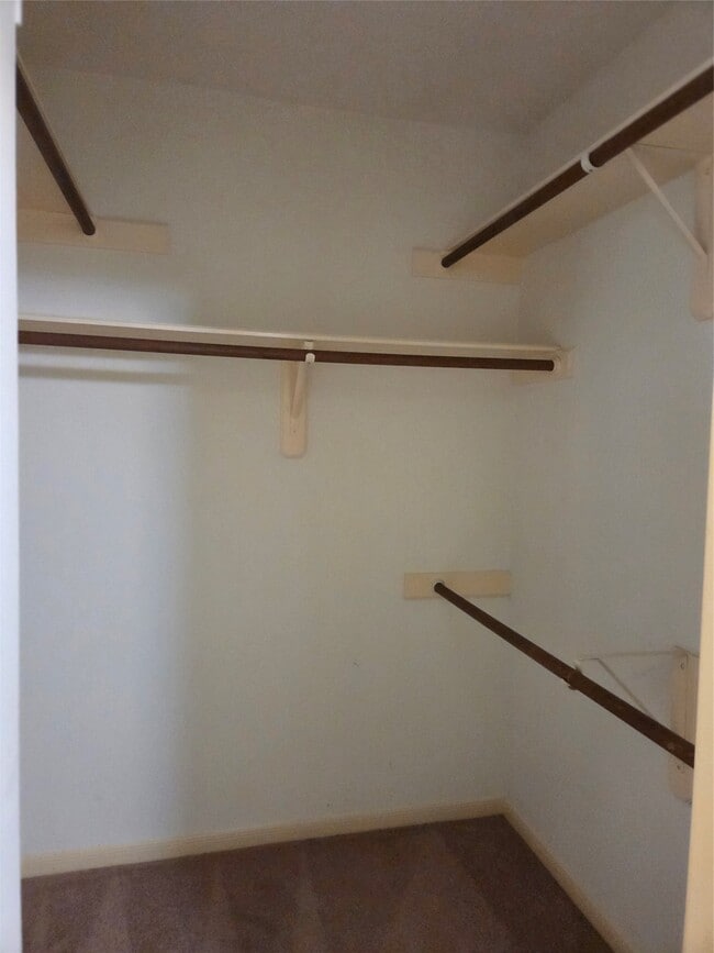 Building Photo - 231 Needleleaf Ln