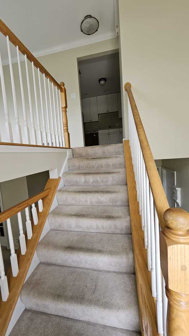 Building Photo - 955 Elderberry Cir