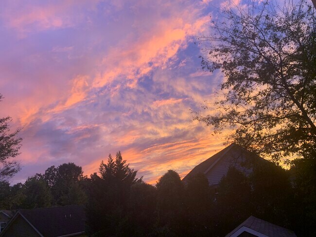 sunset views - 1100 Coleman St