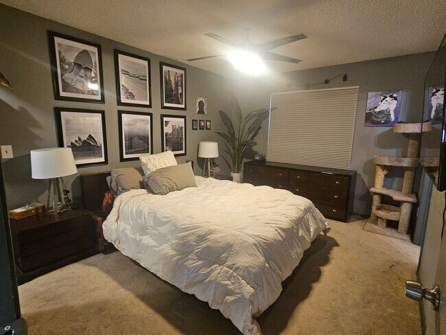 Master Bedroom - 6265 Nassau Ct