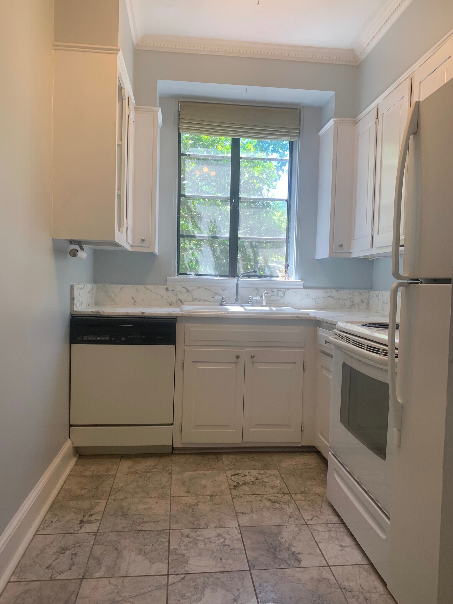 kitchen - 1121 Myrtle Ave