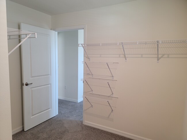 Walk-in Closet in Primary BR - 3226 Evenmore Wy