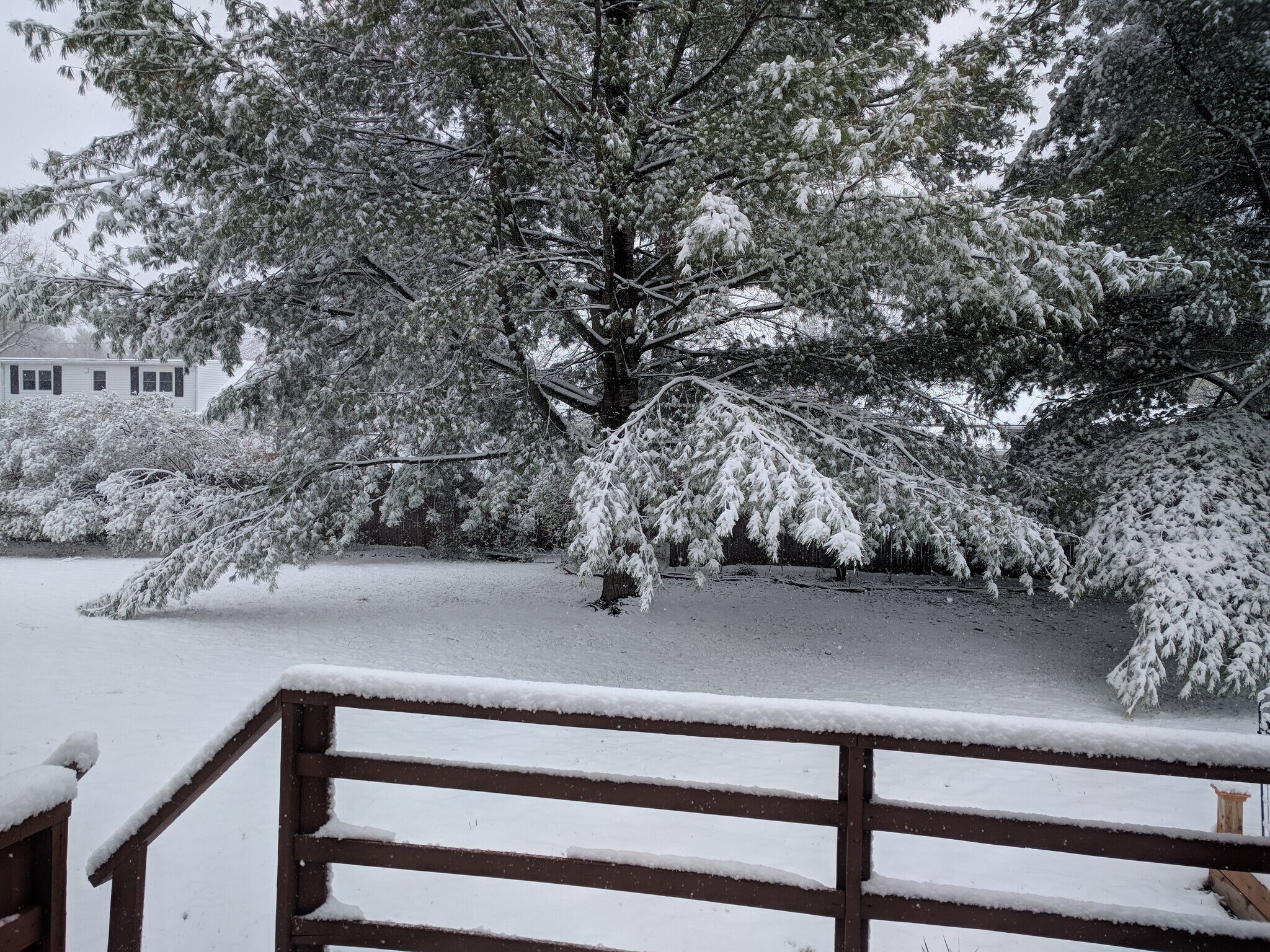 Building Photo - 81 Fairmont Pl