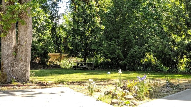 Building Photo - Nice 1 bed-1 bath apartment in Springfield