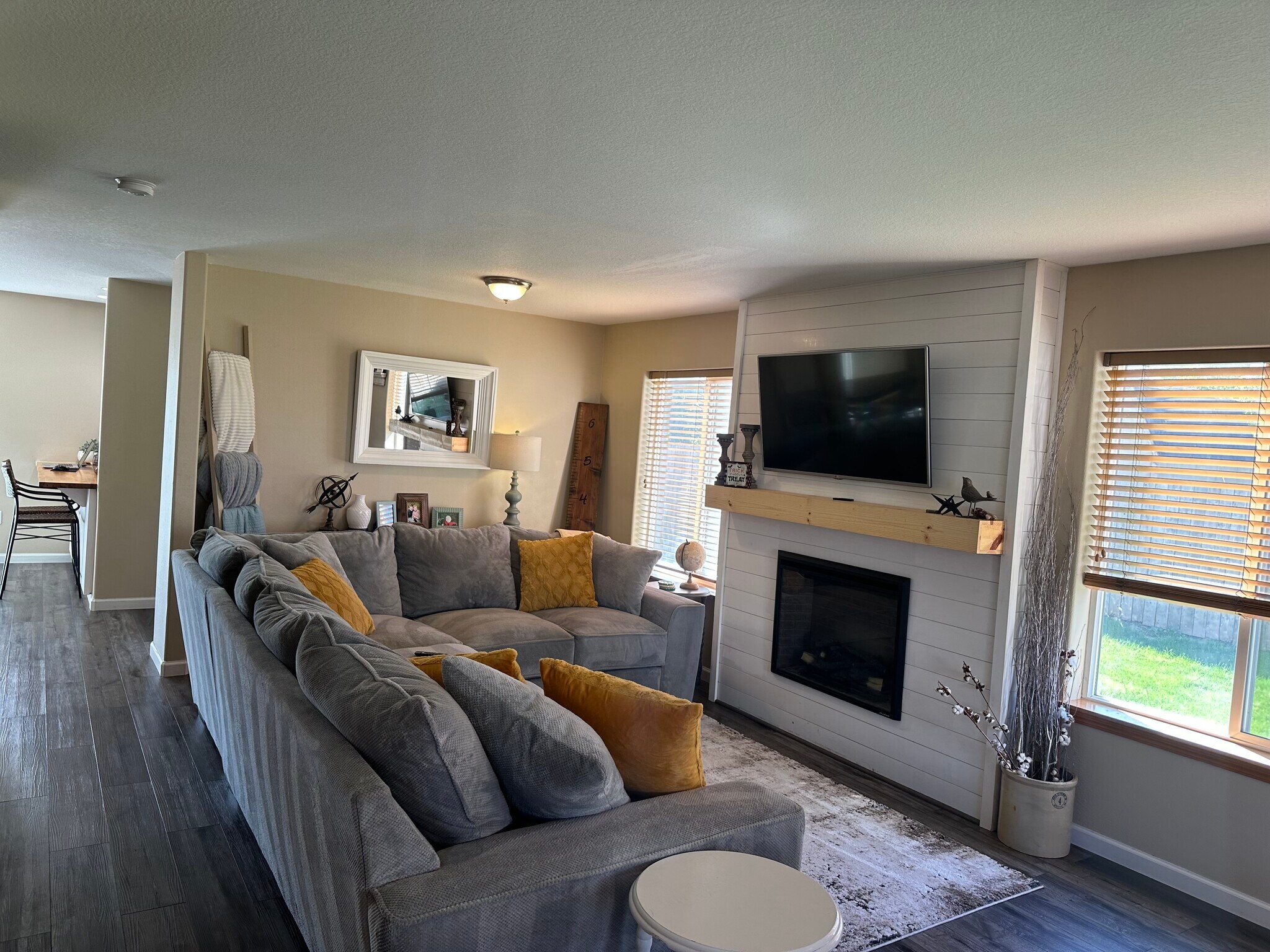 Living Room - 206 E Illinois St