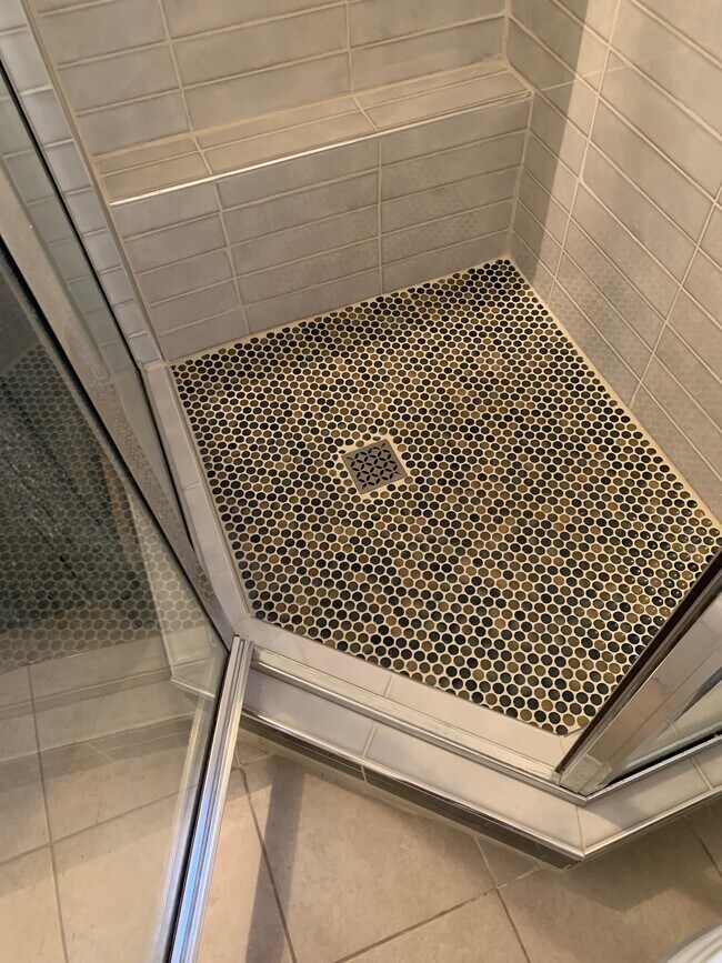 Shower Floor - 25 Wellesley Dr