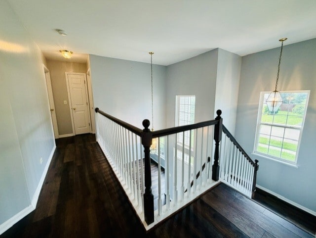 Building Photo - 2331 Wilson Creek Cir