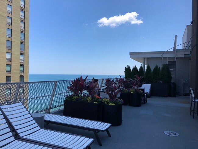 Shared roof deck - 1000 N Lake Shore Dr