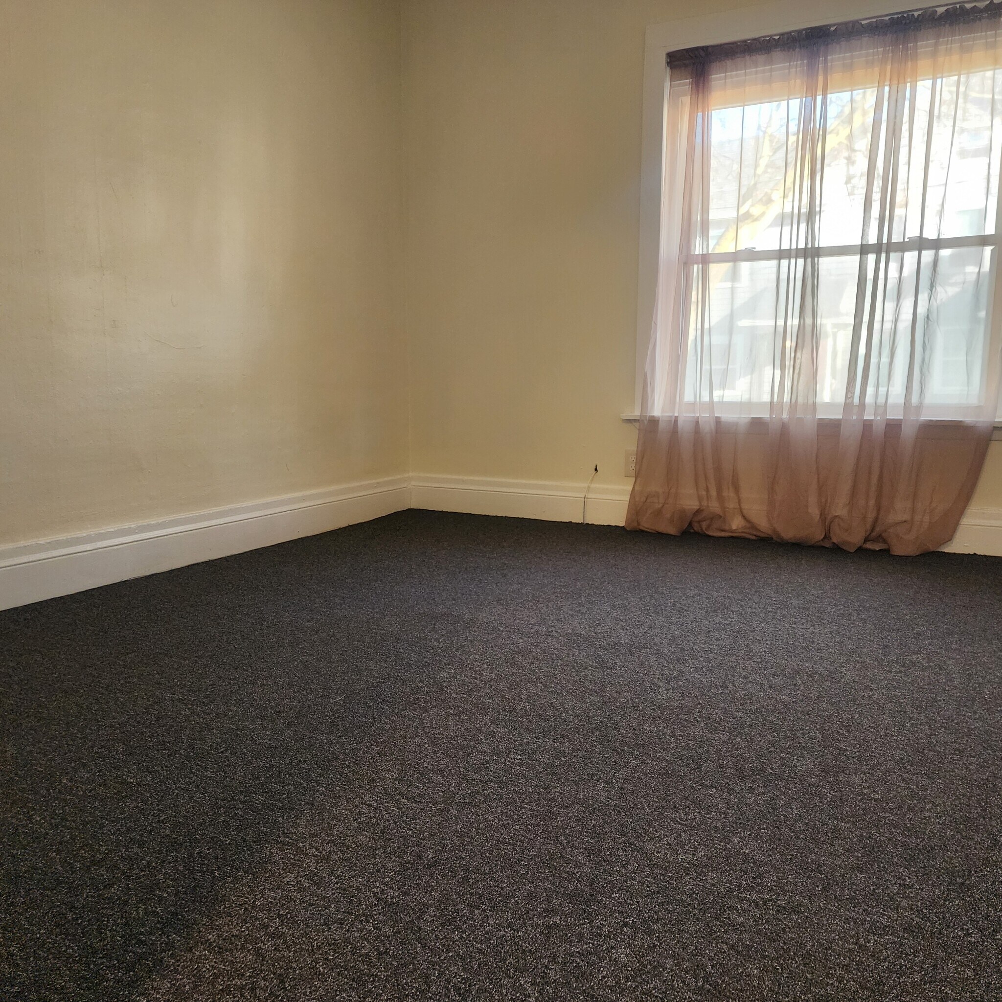 Living Room - 113 Sterling St