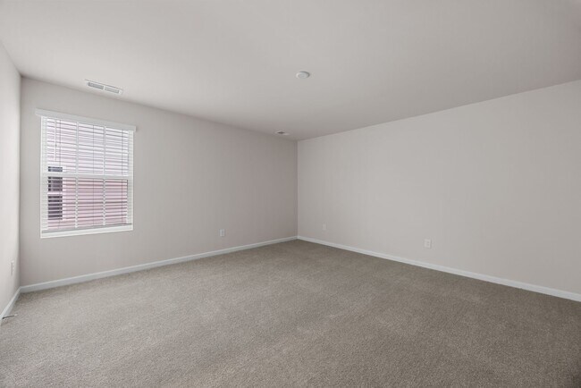 Building Photo - New constructed 5 bed 3 Bath Inman SC