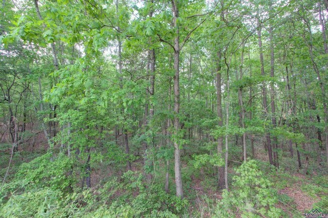 Building Photo - 720 Tennessee Acres Dr