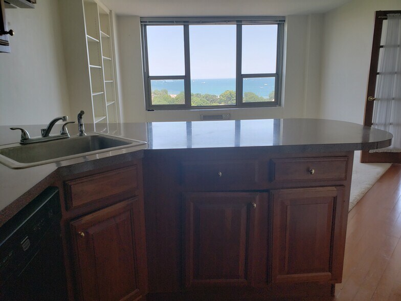 Building Photo - 1550 N Lake Shore Dr