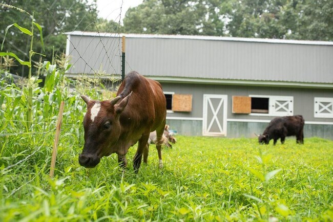 Building Photo - 728 S McCollum Dr