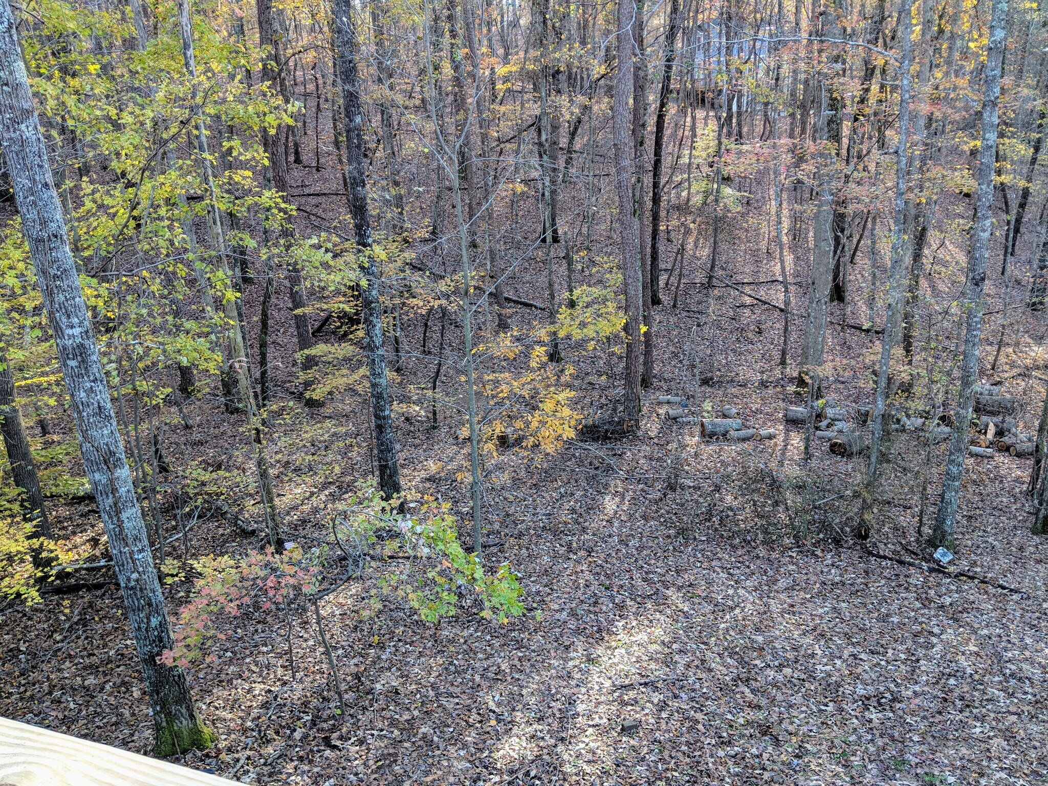 view from back porch - 386 Eagle Mountain Dr West