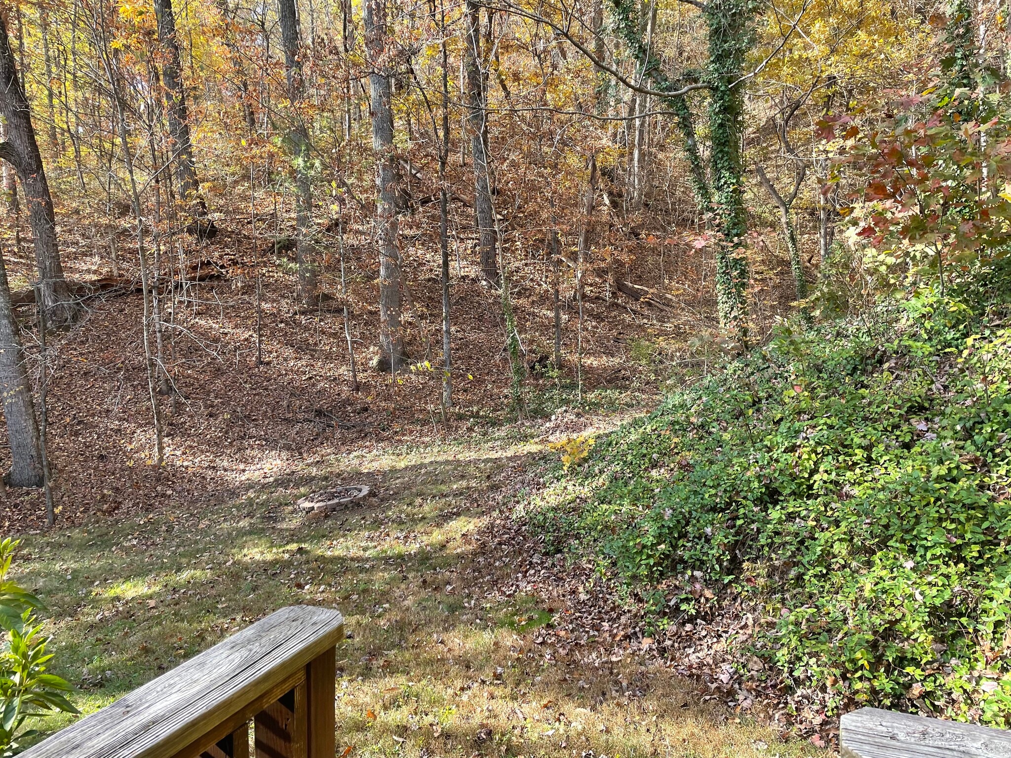 View off deck. - 6709 Langston Dr