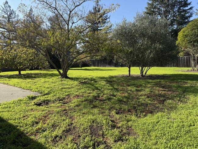 Building Photo - 19469 Victoria Ct