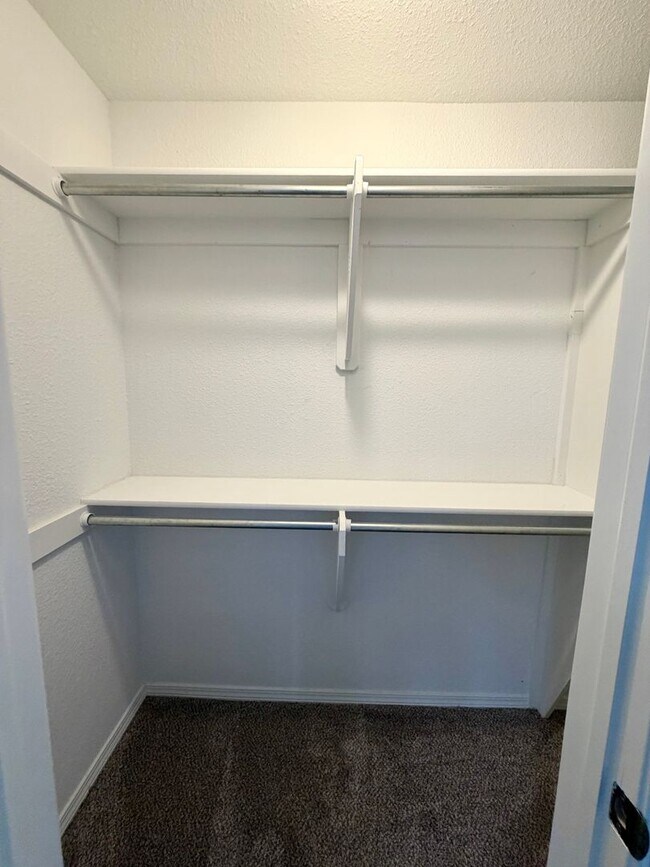 Building Photo - C Street Flats