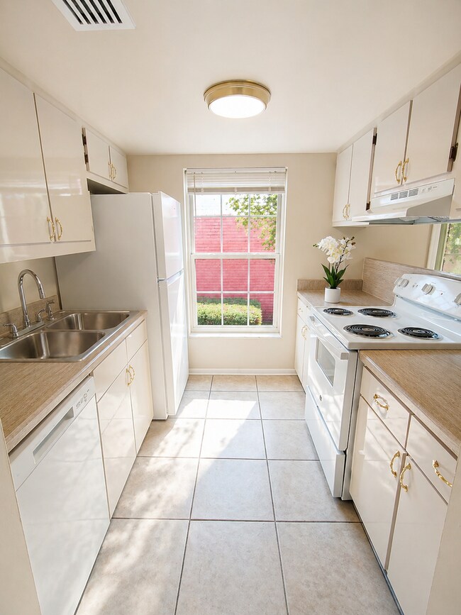 Building Photo - FOR RENT – CHARMING 1-BEDROOM CONDO IN SAINT PETERSBURG, FL
