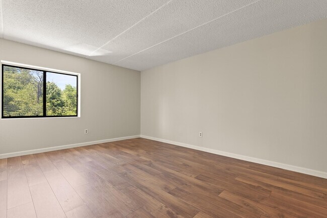 Building Photo - 289 Elm St