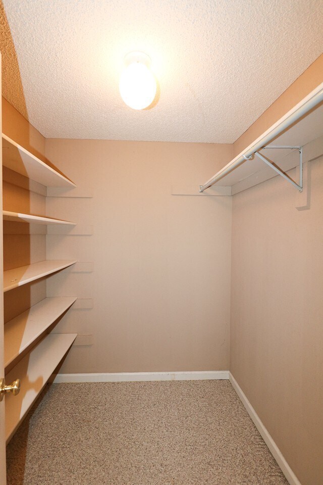 Building Photo - Beautiful 4 Bedroom, 3 Bath home. It has a 2 car garage plus a 1 car carport.  Stay warm in the w...