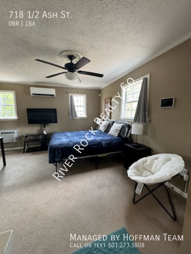 Primary Photo - 718 1/2 Ash Street - SHORT TERM RENTAL