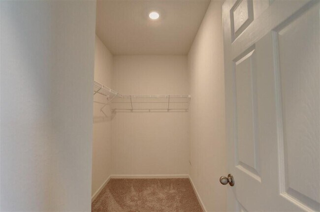 Building Photo - 3713 Whimsical Cir