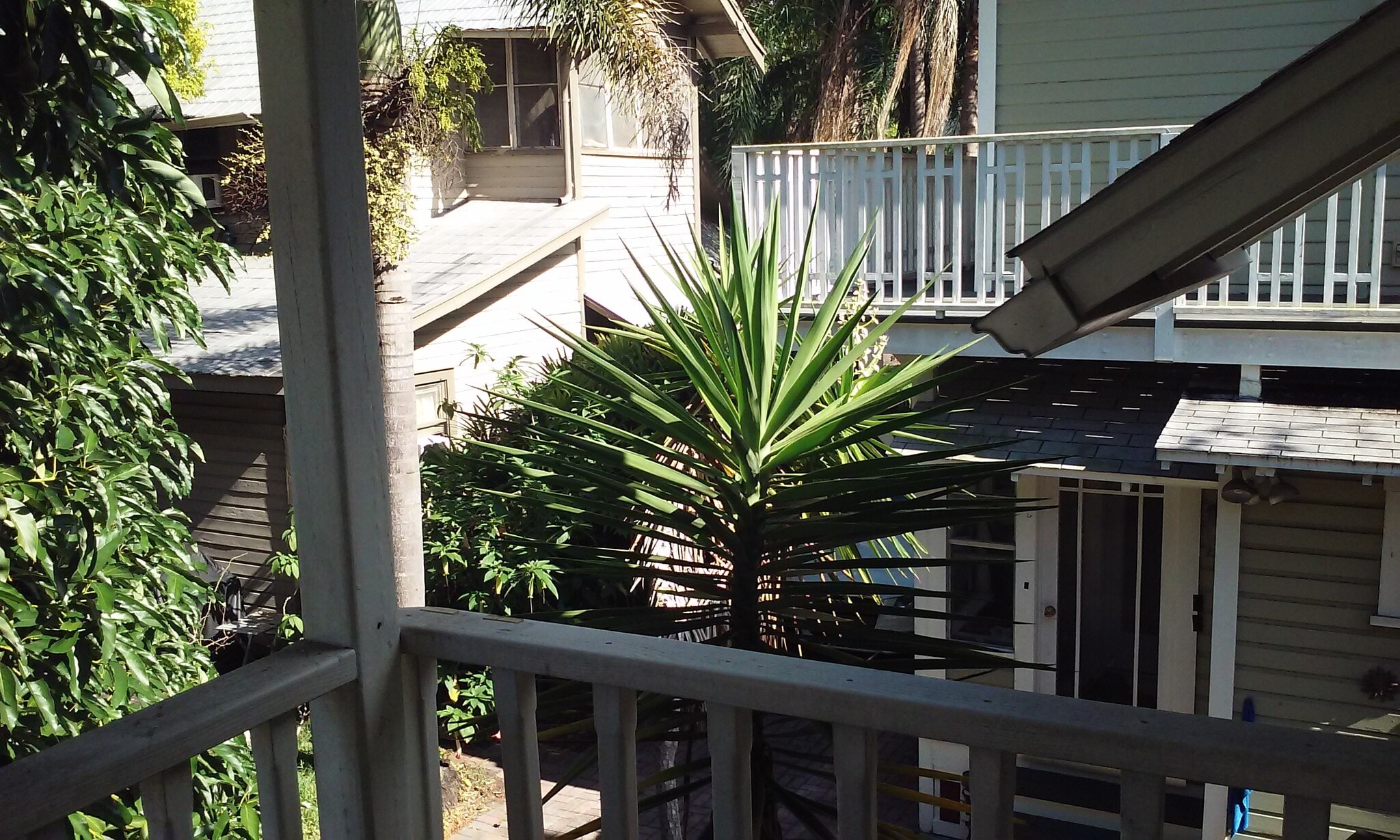 Balcony view to the North - 317 E Livingston St