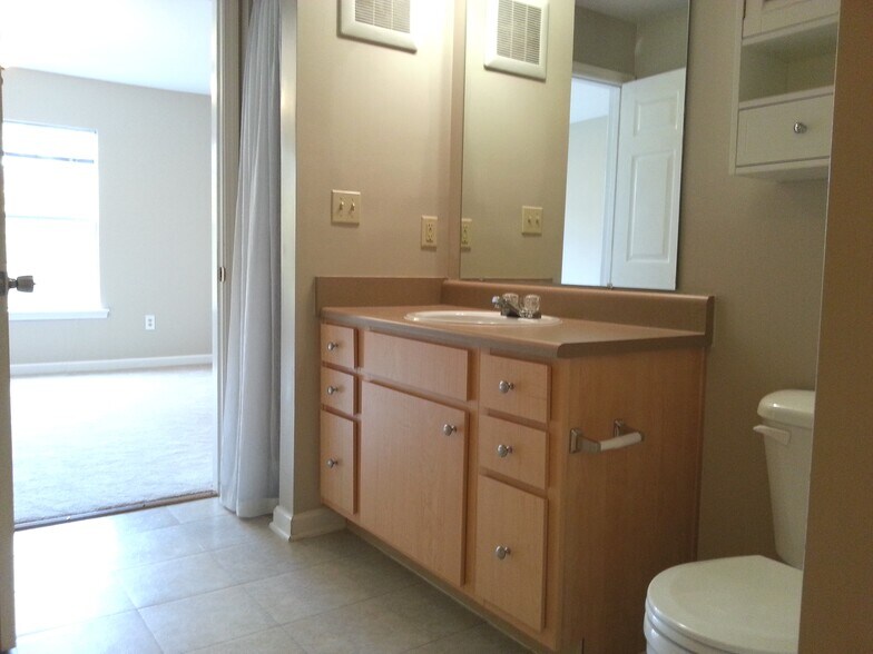 1st Master Bathroom - 704 Bristol Village Dr