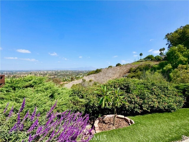 Building Photo - 29932 Morongo Pl