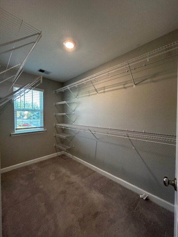 Building Photo - 309 Madison Park Dr
