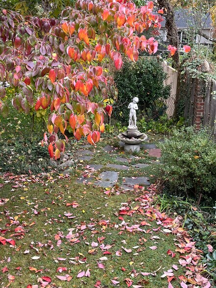 Backyard - 8904 Grant St