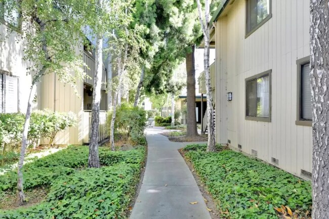 Building Photo - 1538 Alma Ter