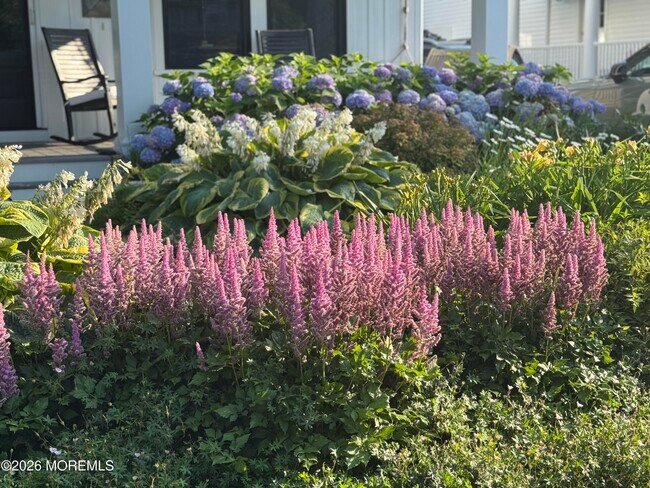 Building Photo - 513 Morris Ave