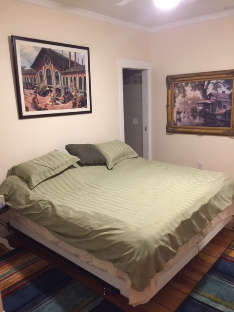 First floor master bedroom with king size bed and insuite bathroom walk in closet - 245 Lincoln St