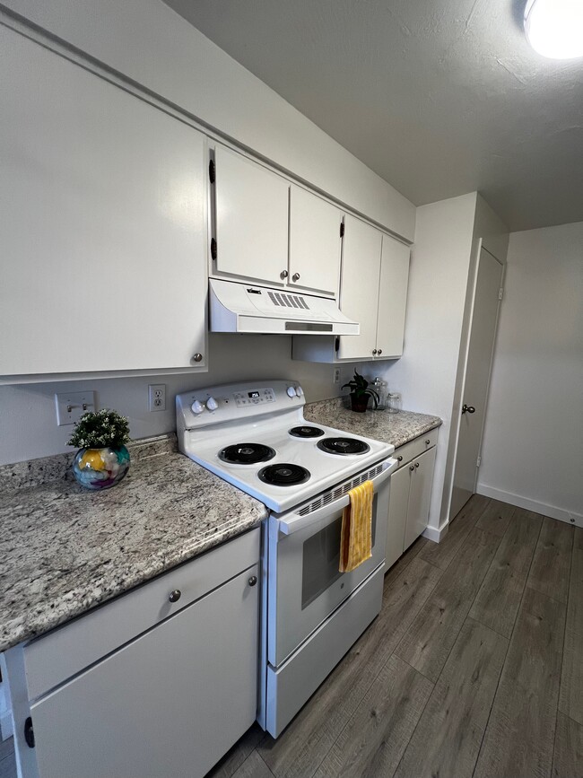 Kitchen - 523 white cloud dr